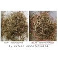 Fieno / Paglia Grosso FPG